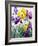 Yellow and Purple Irises-Christopher Ryland-Framed Giclee Print