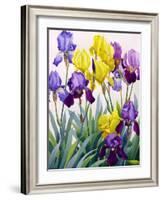 Yellow and Purple Irises-Christopher Ryland-Framed Giclee Print
