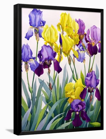 Yellow and Purple Irises-Christopher Ryland-Framed Giclee Print