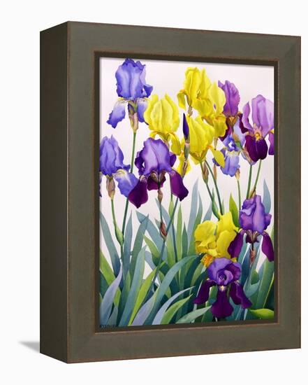 Yellow and Purple Irises-Christopher Ryland-Framed Premier Image Canvas