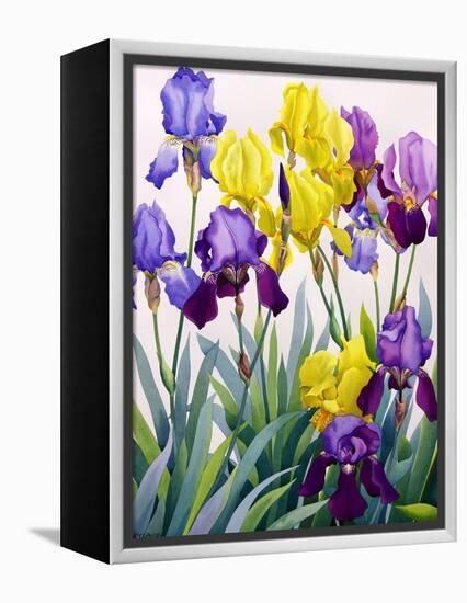 Yellow and Purple Irises-Christopher Ryland-Framed Premier Image Canvas