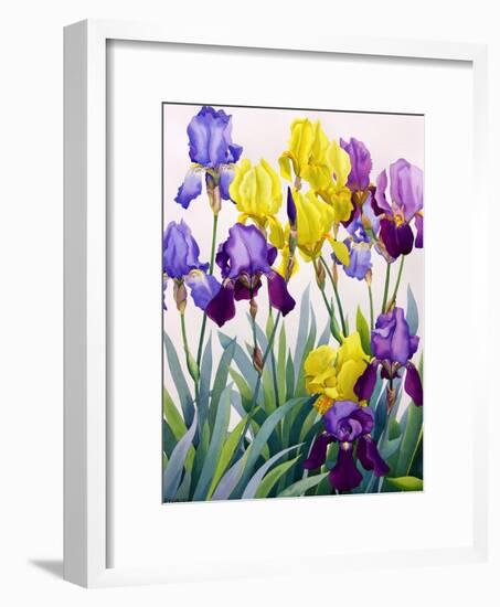 Yellow and Purple Irises-Christopher Ryland-Framed Premium Giclee Print