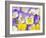 Yellow and Purple Pansies-Linda Burgess-Framed Photographic Print