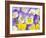 Yellow and Purple Pansies-Linda Burgess-Framed Photographic Print