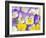 Yellow and Purple Pansies-Linda Burgess-Framed Photographic Print