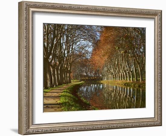 Yellow and Red Leaves in Autumn Along the Canal Du Midi, UNESCO World Heritage Site, Aude, Languedo-Tuul-Framed Photographic Print
