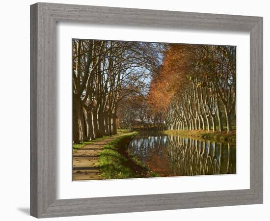 Yellow and Red Leaves in Autumn Along the Canal Du Midi, UNESCO World Heritage Site, Aude, Languedo-Tuul-Framed Photographic Print