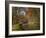 Yellow and Red Leaves in Autumn Along the Canal Du Midi, UNESCO World Heritage Site, Aude, Languedo-Tuul-Framed Photographic Print