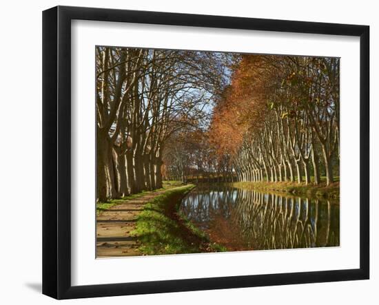 Yellow and Red Leaves in Autumn Along the Canal Du Midi, UNESCO World Heritage Site, Aude, Languedo-Tuul-Framed Photographic Print