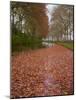 Yellow and Red Leaves in Autumn Along the Canal Du Midi, UNESCO World Heritage Site, Aude, Languedo-Tuul-Mounted Photographic Print