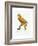 Yellow and Red Parrot, C.1801-05-Jacques Barraband-Framed Giclee Print