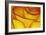 Yellow and red rose.-Adam Jones-Framed Photographic Print