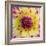 Yellow and red speckled dahlia-Clive Nichols-Framed Photographic Print