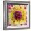 Yellow and red speckled dahlia-Clive Nichols-Framed Photographic Print