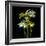 Yellow and White Daffodil Bouquet-Magda Indigo-Framed Photographic Print