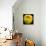 Yellow Apple-Nelly Arenas-Premium Giclee Print displayed on a wall