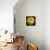 Yellow Apple-Nelly Arenas-Framed Stretched Canvas displayed on a wall