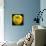 Yellow Apple-Nelly Arenas-Art Print displayed on a wall