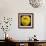 Yellow Apple-Nelly Arenas-Framed Art Print displayed on a wall