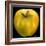Yellow Apple-Nelly Arenas-Framed Art Print