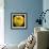 Yellow Apple-Nelly Arenas-Framed Art Print displayed on a wall