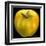 Yellow Apple-Nelly Arenas-Framed Art Print