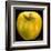 Yellow Apple-Nelly Arenas-Framed Art Print