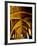 Yellow Arches 1-Doug Chinnery-Framed Photographic Print