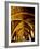 Yellow Arches 1-Doug Chinnery-Framed Photographic Print