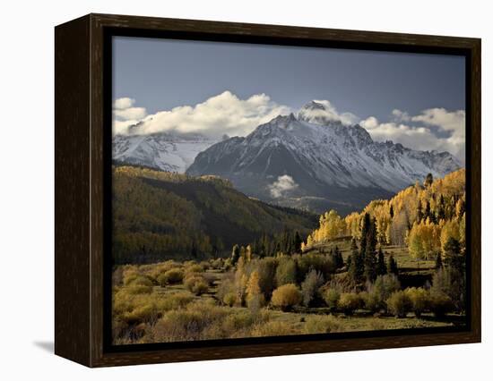 Yellow Aspens and Snow-Covered Mountains, Uncompahgre National Forest, Colorado, USA-James Hager-Framed Premier Image Canvas