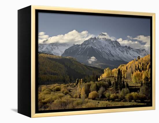 Yellow Aspens and Snow-Covered Mountains, Uncompahgre National Forest, Colorado, USA-James Hager-Framed Premier Image Canvas