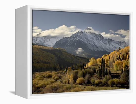 Yellow Aspens and Snow-Covered Mountains, Uncompahgre National Forest, Colorado, USA-James Hager-Framed Premier Image Canvas