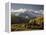Yellow Aspens and Snow-Covered Mountains, Uncompahgre National Forest, Colorado, USA-James Hager-Framed Premier Image Canvas