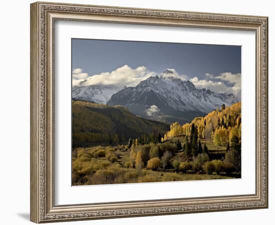 Yellow Aspens and Snow-Covered Mountains, Uncompahgre National Forest, Colorado, USA-James Hager-Framed Photographic Print