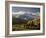 Yellow Aspens and Snow-Covered Mountains, Uncompahgre National Forest, Colorado, USA-James Hager-Framed Photographic Print