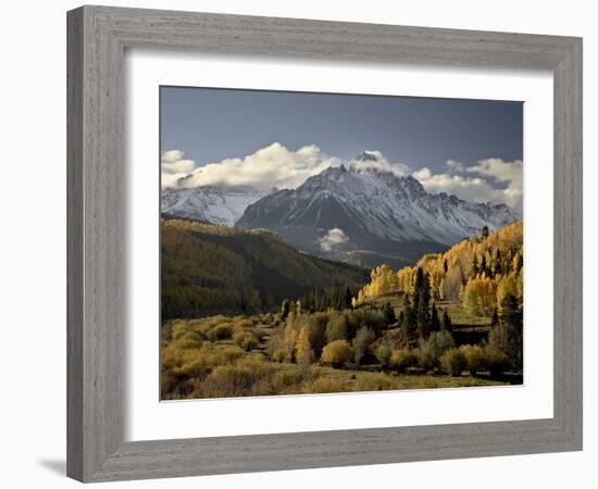 Yellow Aspens and Snow-Covered Mountains, Uncompahgre National Forest, Colorado, USA-James Hager-Framed Photographic Print