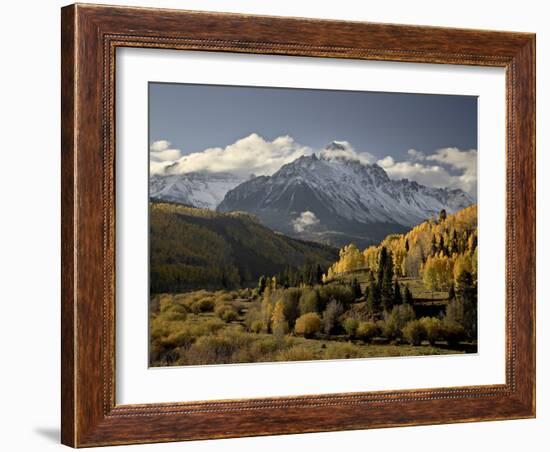 Yellow Aspens and Snow-Covered Mountains, Uncompahgre National Forest, Colorado, USA-James Hager-Framed Photographic Print