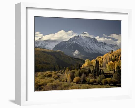 Yellow Aspens and Snow-Covered Mountains, Uncompahgre National Forest, Colorado, USA-James Hager-Framed Photographic Print