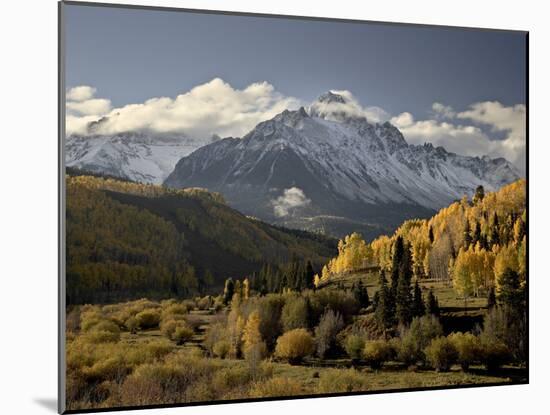 Yellow Aspens and Snow-Covered Mountains, Uncompahgre National Forest, Colorado, USA-James Hager-Mounted Photographic Print