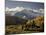 Yellow Aspens and Snow-Covered Mountains, Uncompahgre National Forest, Colorado, USA-James Hager-Mounted Photographic Print