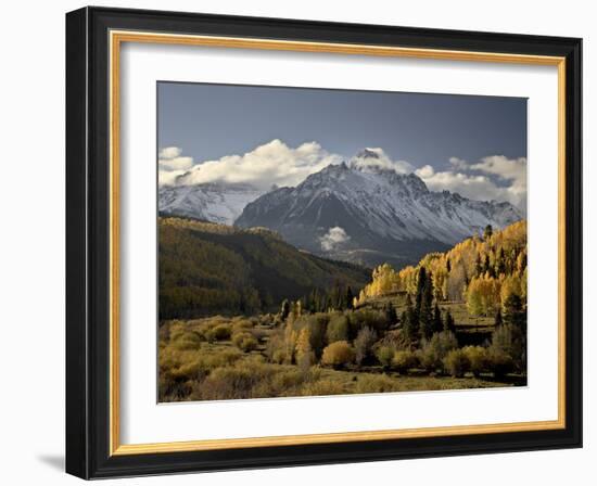 Yellow Aspens and Snow-Covered Mountains, Uncompahgre National Forest, Colorado, USA-James Hager-Framed Photographic Print