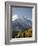 Yellow Aspens and Snow-Covered Mountains, Uncompahgre National Forest, Colorado, USA-James Hager-Framed Photographic Print