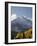 Yellow Aspens and Snow-Covered Mountains, Uncompahgre National Forest, Colorado, USA-James Hager-Framed Photographic Print