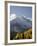 Yellow Aspens and Snow-Covered Mountains, Uncompahgre National Forest, Colorado, USA-James Hager-Framed Photographic Print