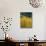 Yellow Aspens, Colorado, USA-Jean Brooks-Photographic Print displayed on a wall