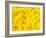 Yellow Banana Candies-null-Framed Photographic Print