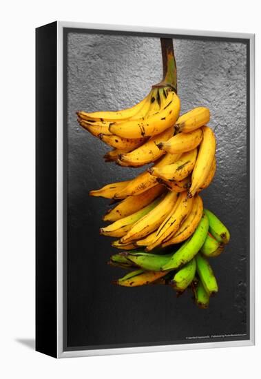 Yellow Bananas-null-Framed Stretched Canvas