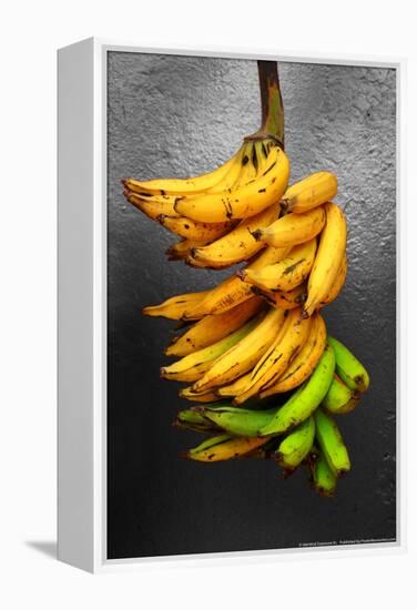 Yellow Bananas-null-Framed Stretched Canvas