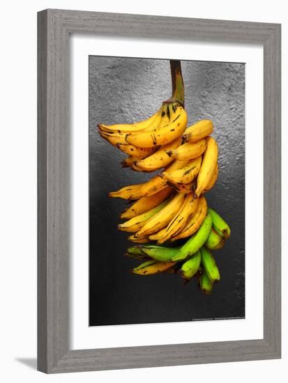 Yellow Bananas-null-Framed Photo