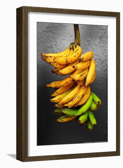 Yellow Bananas-null-Framed Photo